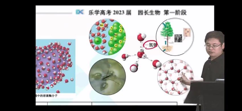 2023高三乐学生物任春磊第一阶段(一轮)