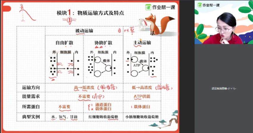 作业帮-高一生物-段瑞莹【秋季班】2019（尖端班）