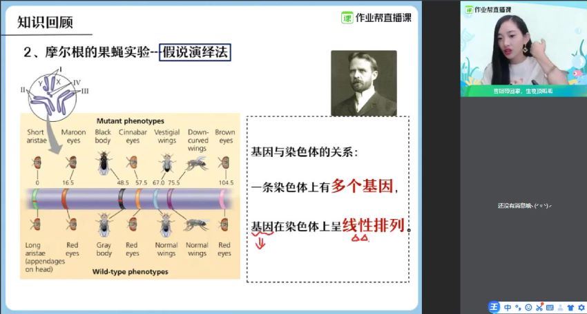 杨雪备考20212020年秋季班高三生物985班