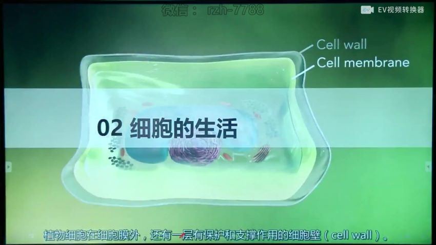 李嘉津 初一生物秋季班（勤思在线）学而思培优小四门