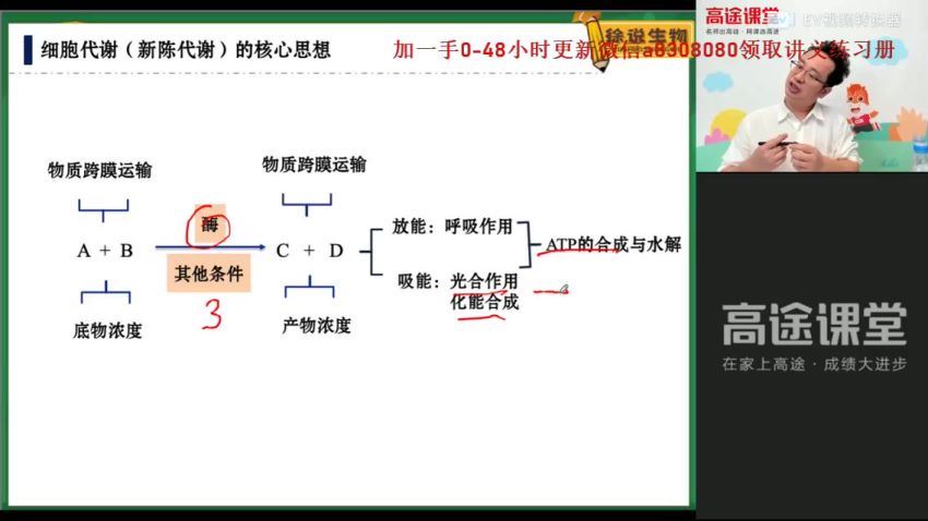 22届-高一生物【徐京】秋季班