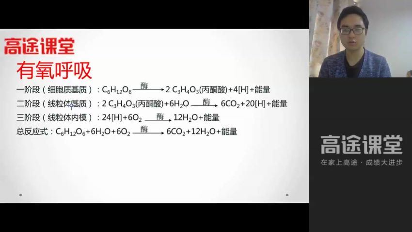 2019高途高一生物(全套) (12.77G)