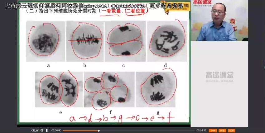 徐京2021生物一轮二轮衔接课