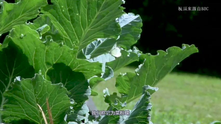 植物保护学_浙江农林大学