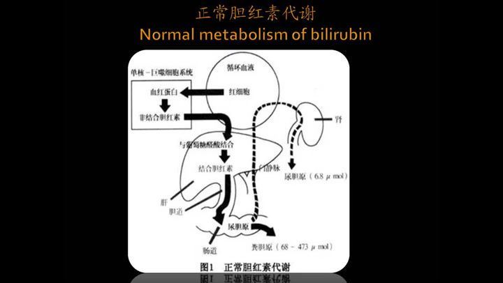 诊断学-中南大学