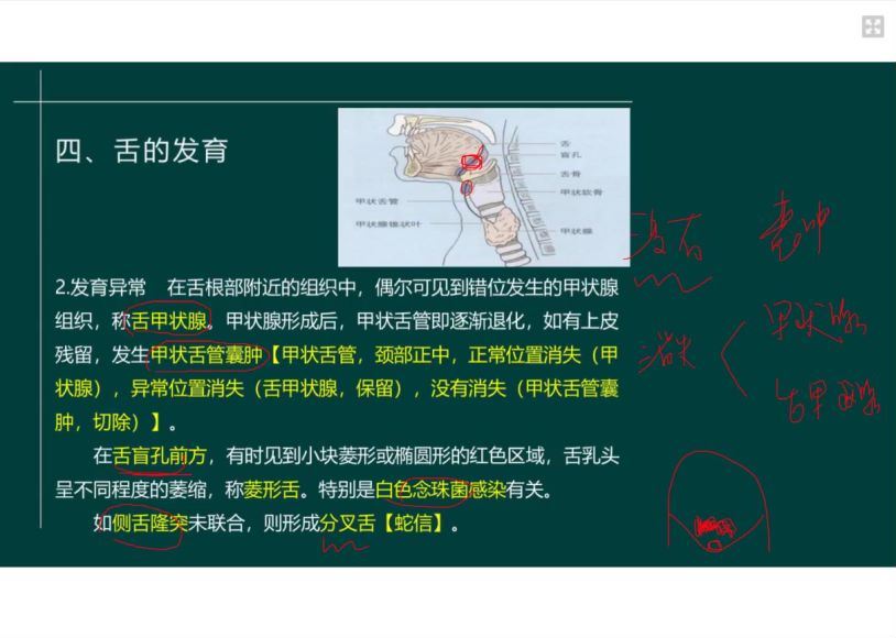 2022医学考试星恒教育：口腔执业（助理）医师