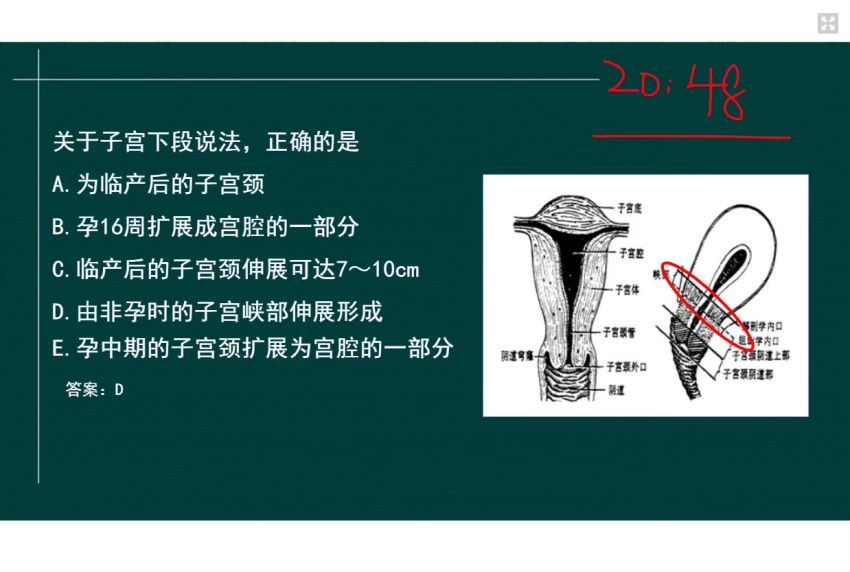 2022医学考试星恒教育：临床执业（助理）医师