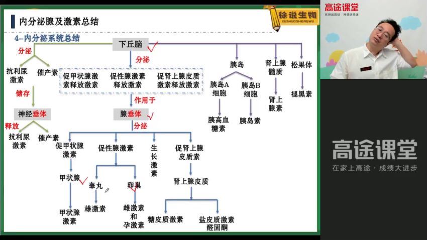 22届-高三生物【徐京】秋季班