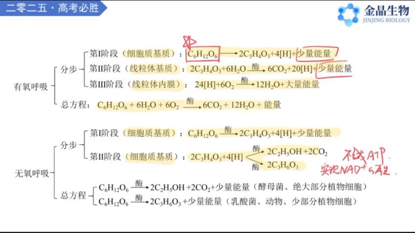 2025高三金晶生物技巧提升课