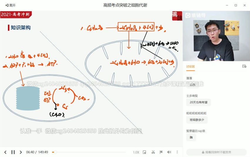 张鹏2021生物押题课