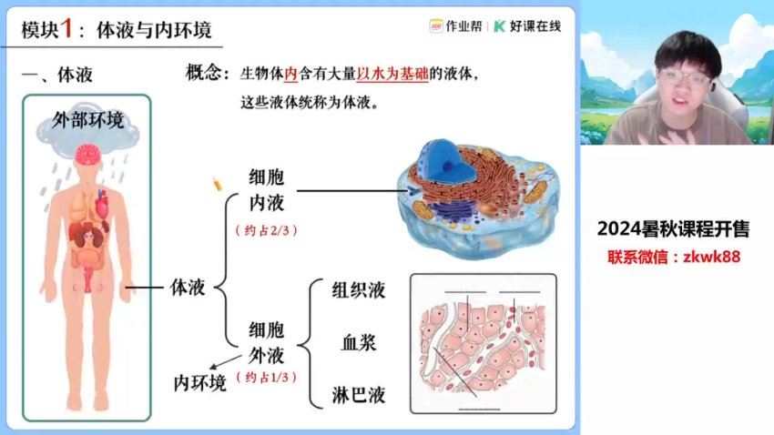 2025高二作业帮生物邓康尧【尖端班】秋季班