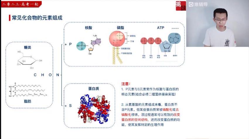 2023高三猿辅导生物张鹏一轮暑假班